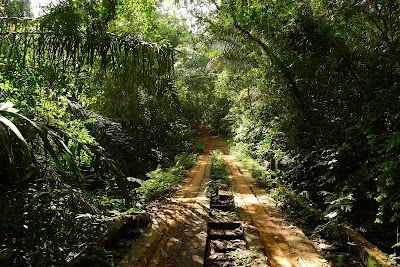 Parque Nacional Soberanía (Parque Nacional Soberanía)