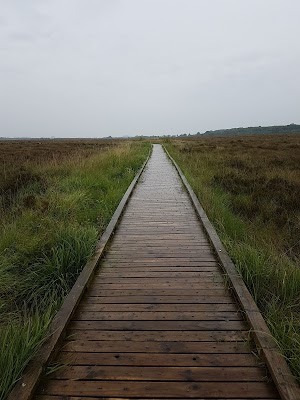 Bog Chlara (Clara Bog)