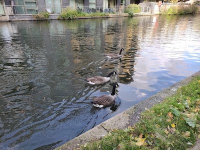 Kiçik Venesiya (Little Venice)