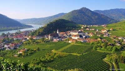 Wachau (Wachau Valley)