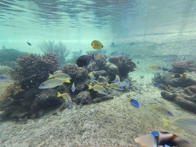 Palau International Coral Reef Center