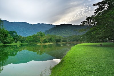 Taman Tasik Taiping (Taiping Lake Gardens)