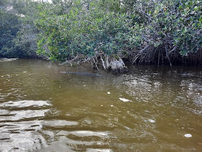 Río Lagartos (Río Lagartos)