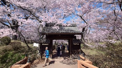 高遠城跡 (Takato Castle Ruins)