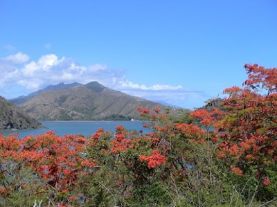 Mont Panié (Mont Panié)