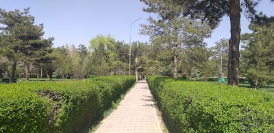 دانشگاه پلی‌تکنیک کابل (Kabul Polytechnic University)