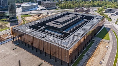 Cour de justice de l'Union européenne (European Court of Justice)