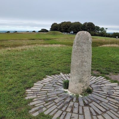 Teamhair na Rí (The Hill of Tara)