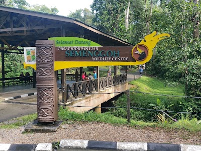 Semenggoh Nature Reserve (Semenggoh Nature Reserve)