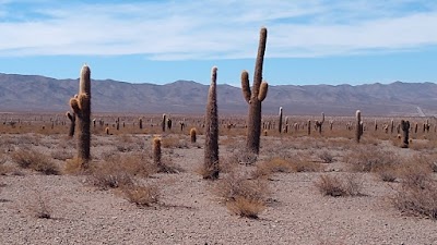 Parque Nacional Los Cardones (Parque Nacional Los Cardones)