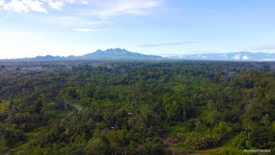 Mount Lamington (Mount Lamington)