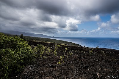 La Route des Laves (La Route des Laves)