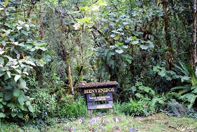 Parque Internacional La Amistad (La Amistad International Park)