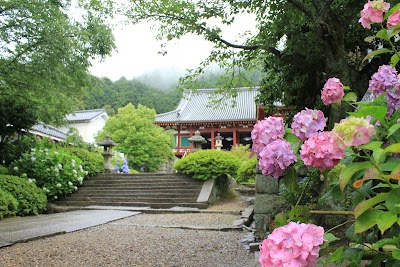 矢田寺 (Yatadera Temple)