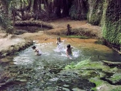 واحة تيرجيت (Terjit Oasis)