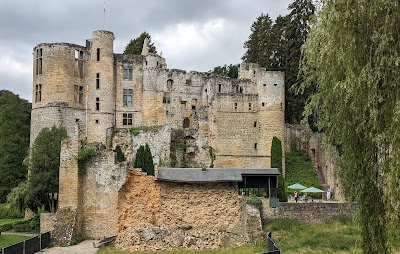 Château de Beaufort (Castle of Beaufort)