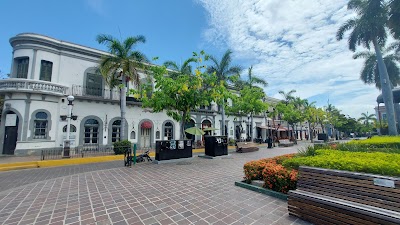 Plaza Machado (Plaza Machado)