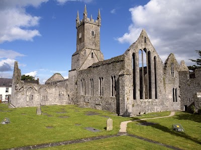 Friary na hInse (Ennis Friary)