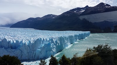 El Calafate (Calafate)