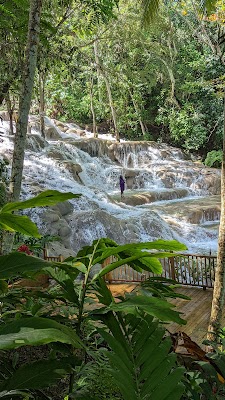 Dunn's River Falls