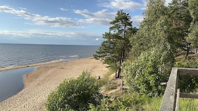 Baltais kāpas (White Dune)