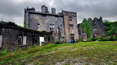 Caisleán Ard Fhionnain (Ardfinnan Castle)