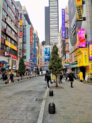 歌舞伎町 (Kabukicho)