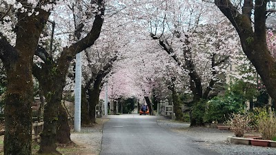 結城城跡 (Yuki Castle Ruins)