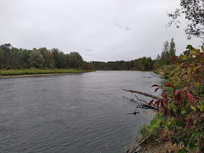 Gauja (Gauja River)