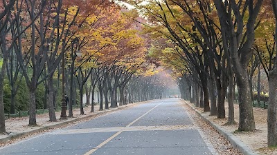 인천대공원 (Incheon Grand Park)