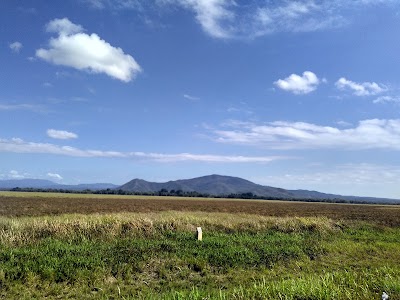 Taman Nasional Rawa Aopa Watumohai (Rawa Aopa Watumohai National Park)