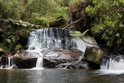 Park Nasional Andasibe-Mantadia (Andasibe-Mantadia National Park)