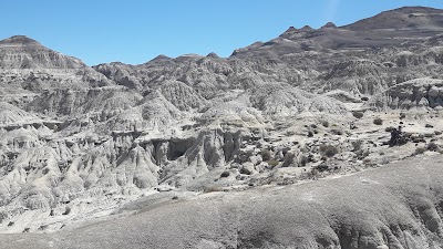 Bosque Petrificado La Leona (La Leona Petrified Forest)