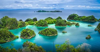 Kepulauan Raja Ampat (Raja Ampat Islands)