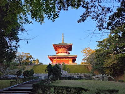 成田山新勝寺 (Naritasan Shinshoji Temple)