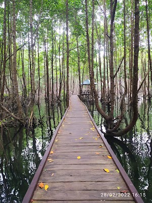 Taman Nasional Kutai (Kutai National Park)