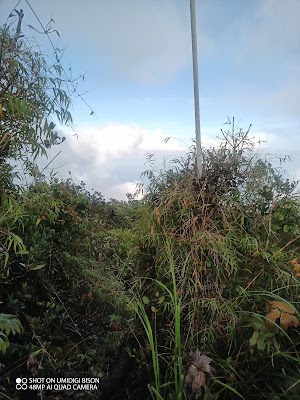 Gunung Bintan (Mount Bintan)