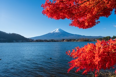 河口湖 (Kawaguchi Lake)