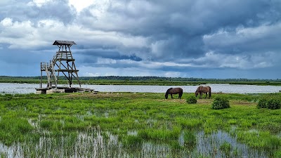 Engures ezers (Lake Engure)