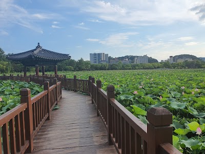 덕진공원 (Deokjin Park)