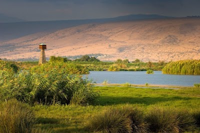 Hula Valley Nature Reserve