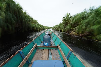 Taman Nasional Sabangau (Sabangau National Park)