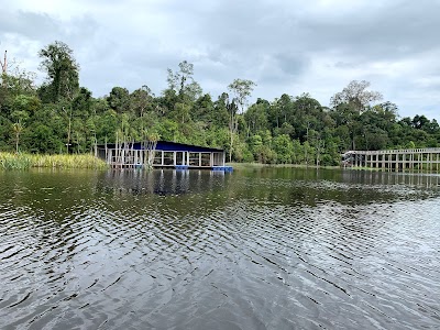 Danau Chini (Lake Chini)