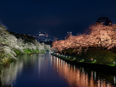 千鳥ヶ淵 (Chidorigafuchi)