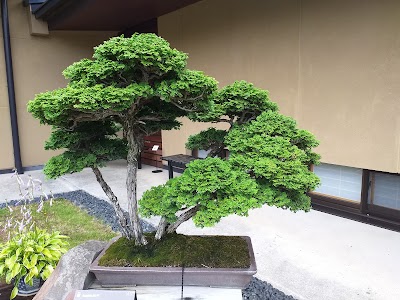 大宮盆栽村 (Omiya Bonsai Village)