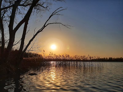 Balvu ezers (Lake Balvi)