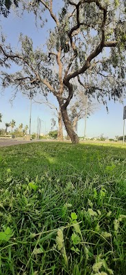 Al Ahmadi Park