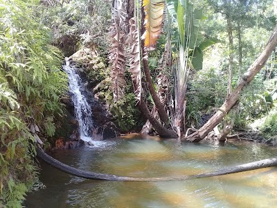 Parc Ivoloina (Parc Ivoloina)