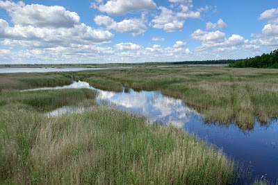 Putnu vērošanas tornis (Birdwatching Tower)