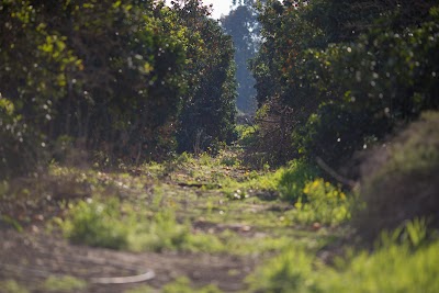 Bet Yitzhak Agricultural Museum